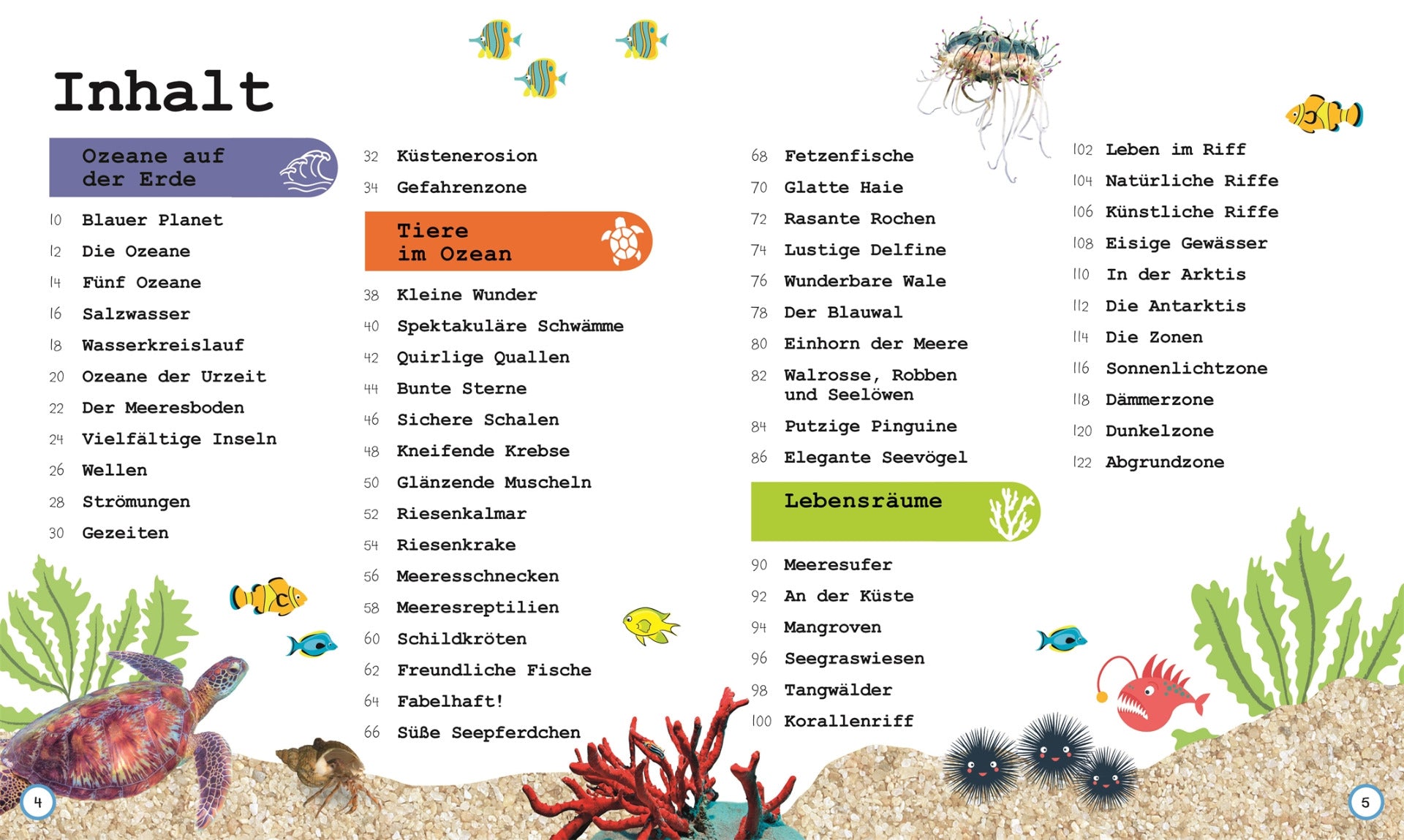 Wissen für Vorschulkids. Was weißt du über Ozeane?