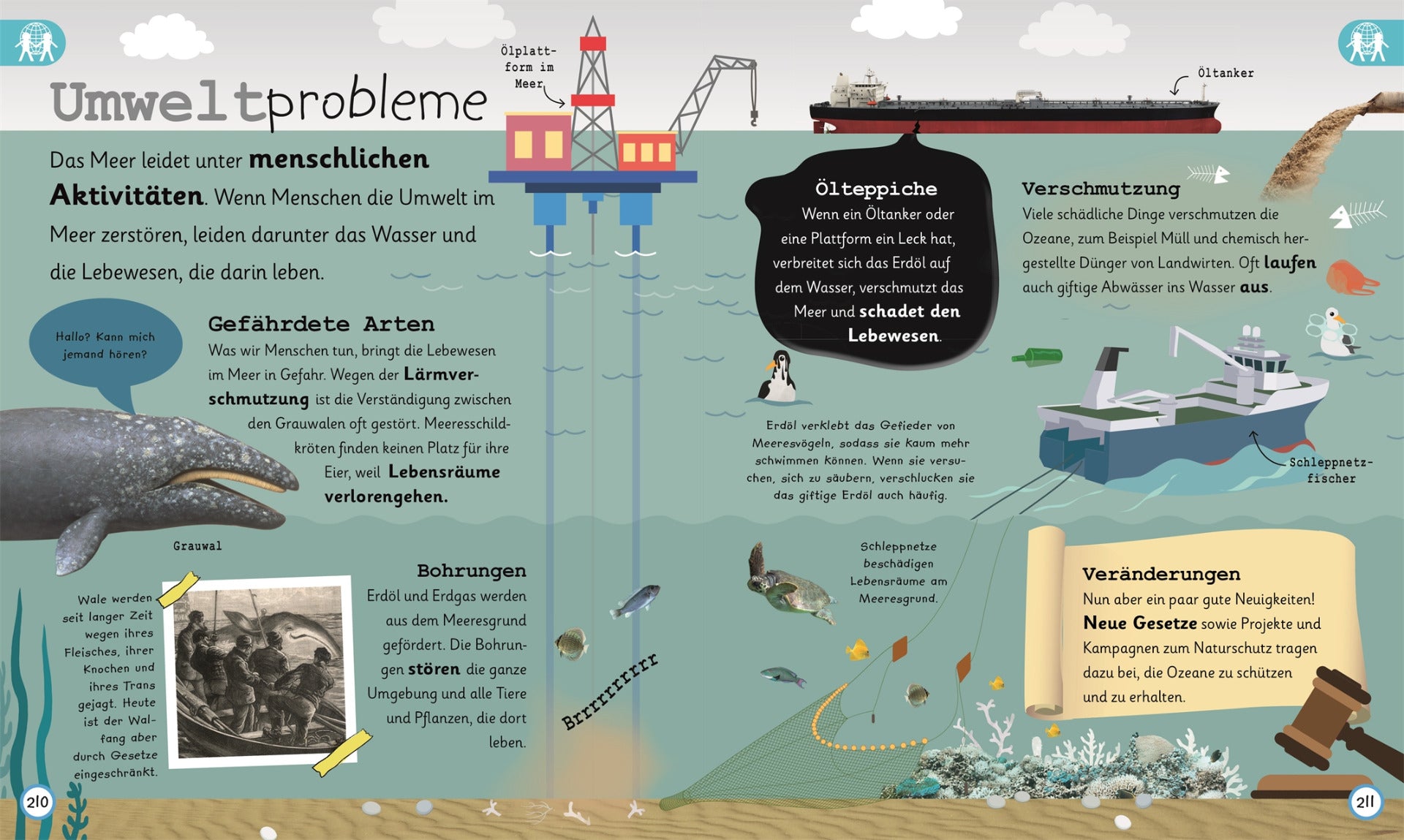 Wissen für Vorschulkids. Was weißt du über Ozeane?