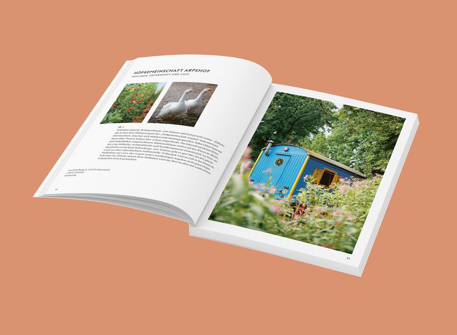 Wochenender: Lüneburger Heide