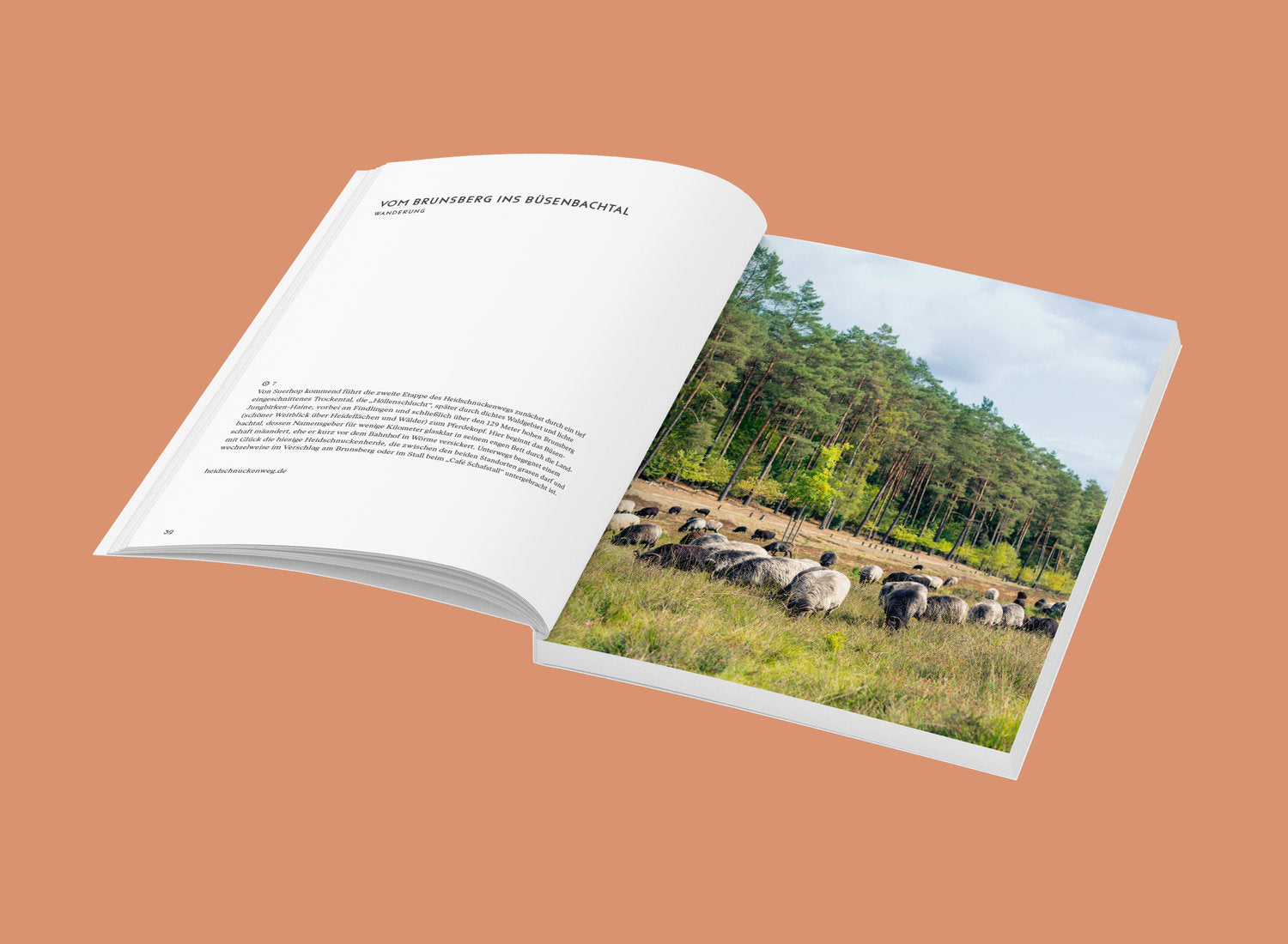 Wochenender: Lüneburger Heide