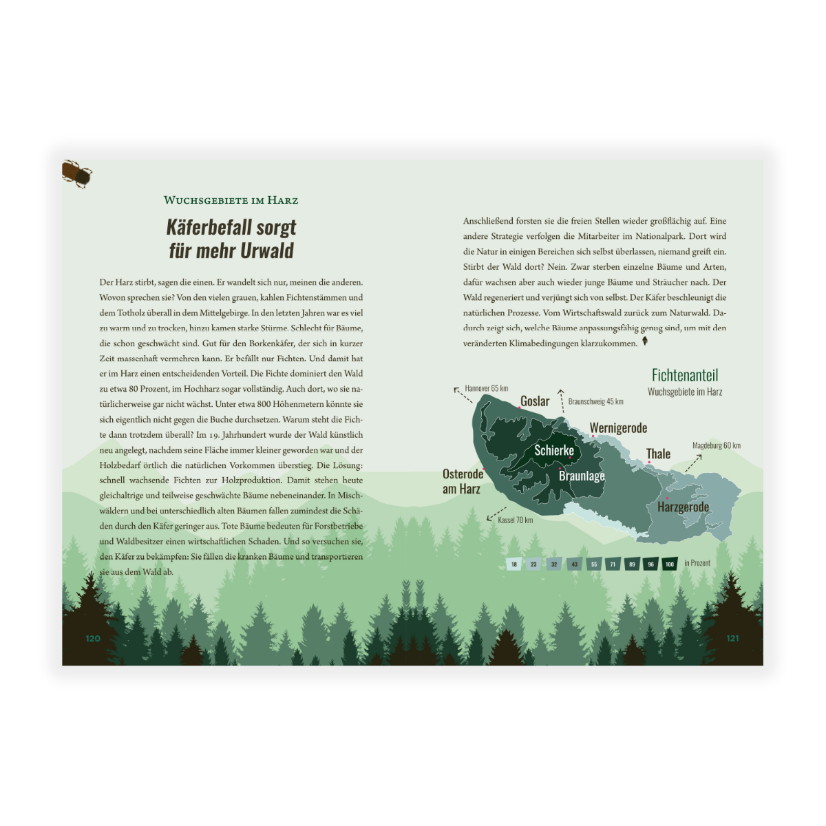 Wie man illegal einen Wald pflanzt