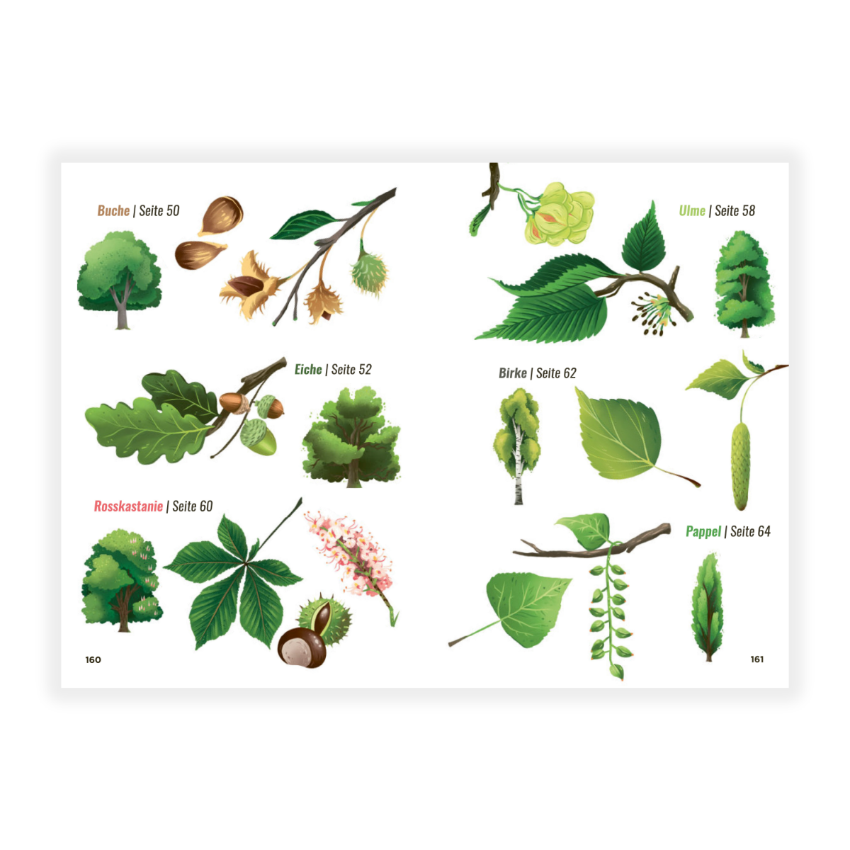 Wie man illegal einen Wald pflanzt