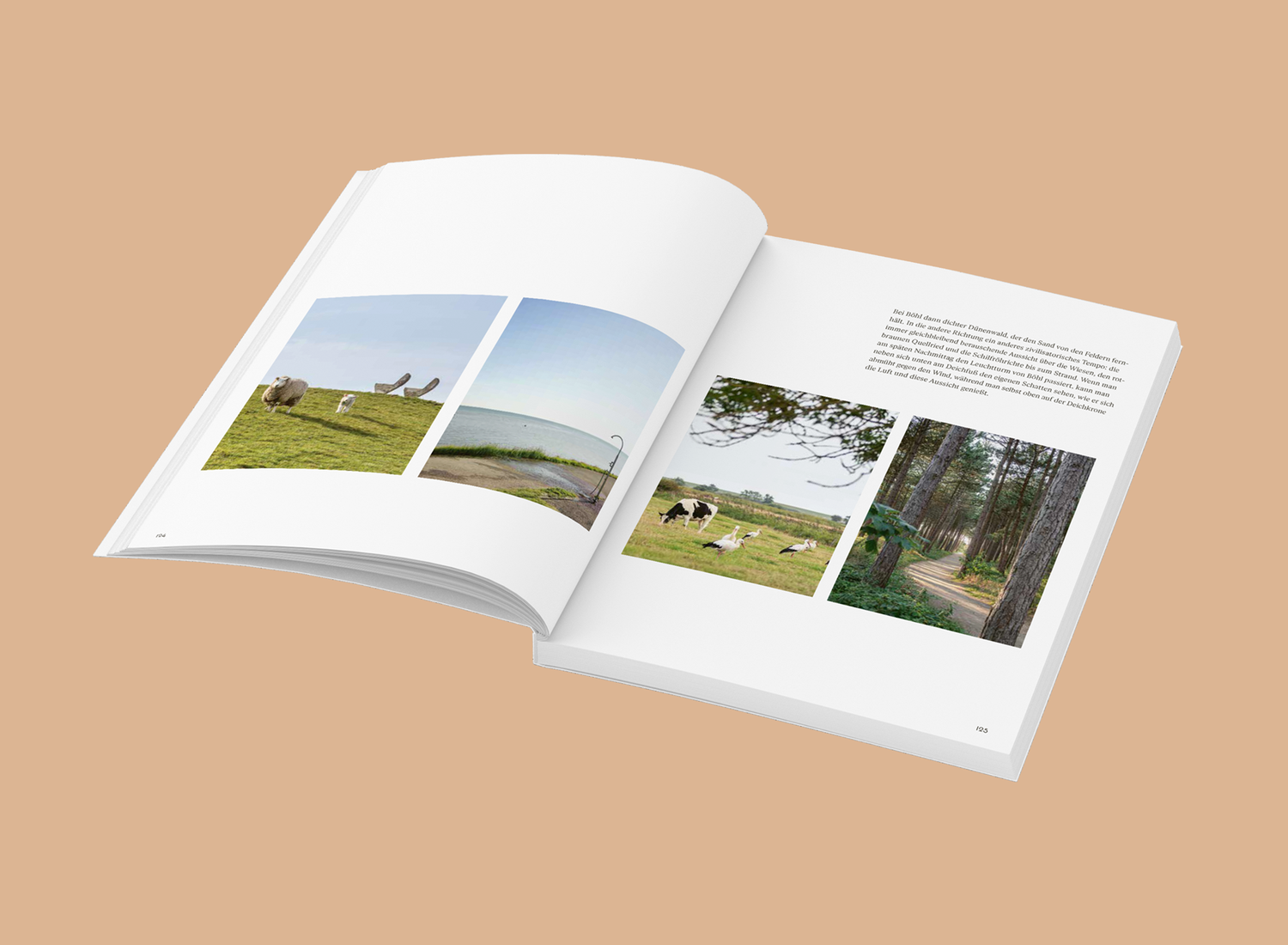 Wochenender: Sankt Peter-Ording / Eiderstedt