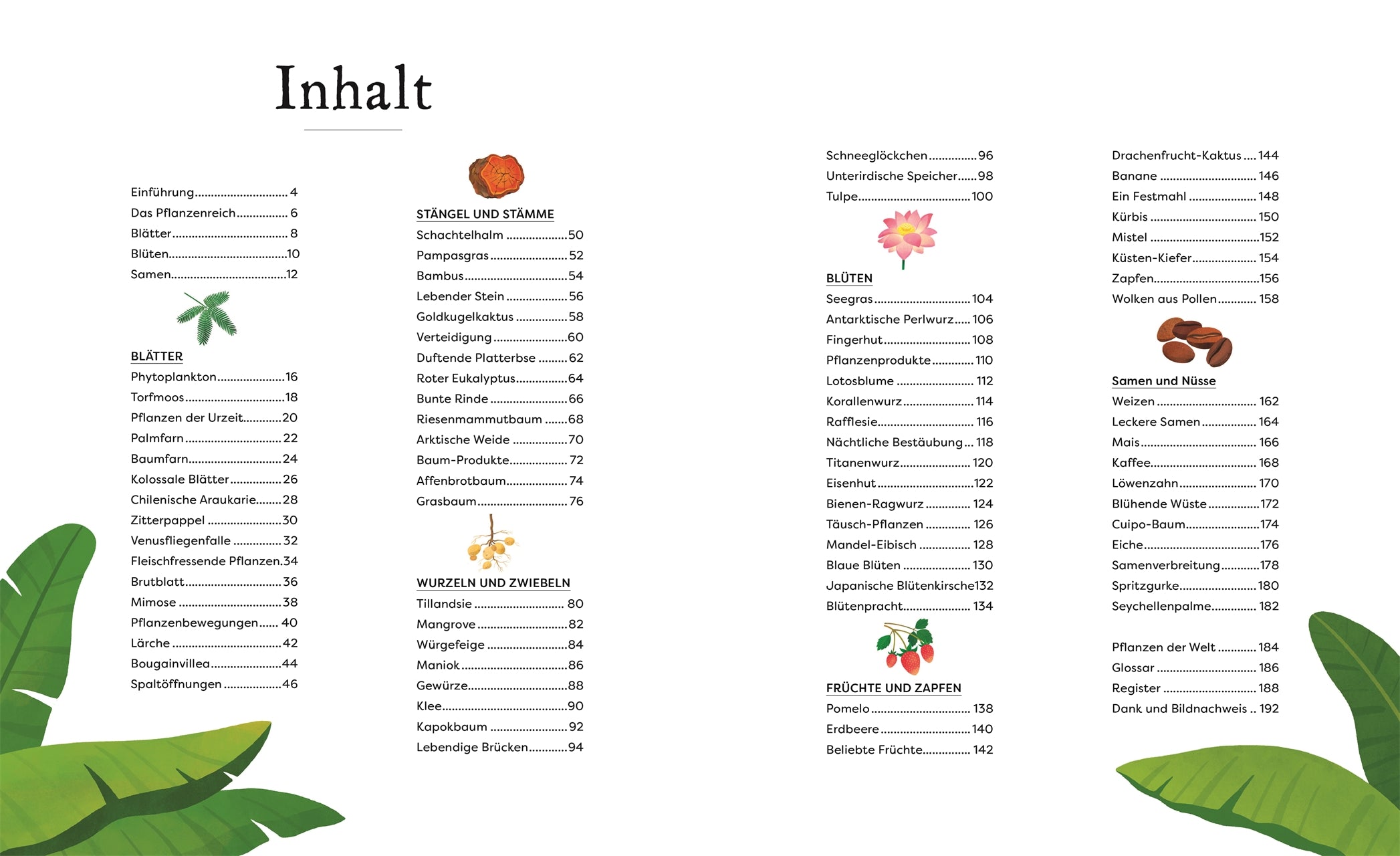 Große und kleine Schätze der Natur: Pflanzen