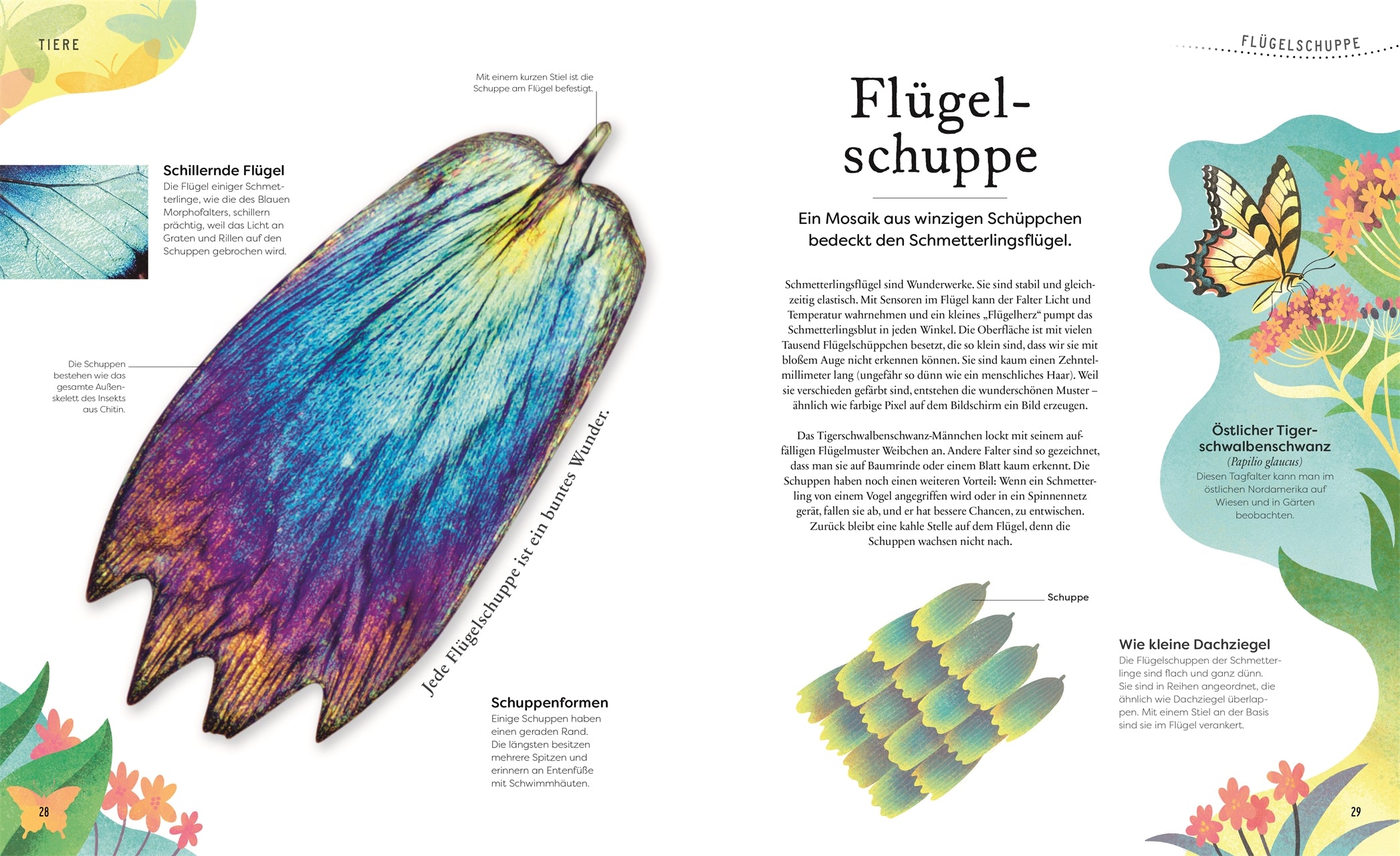 Große und kleine Schätze der Natur