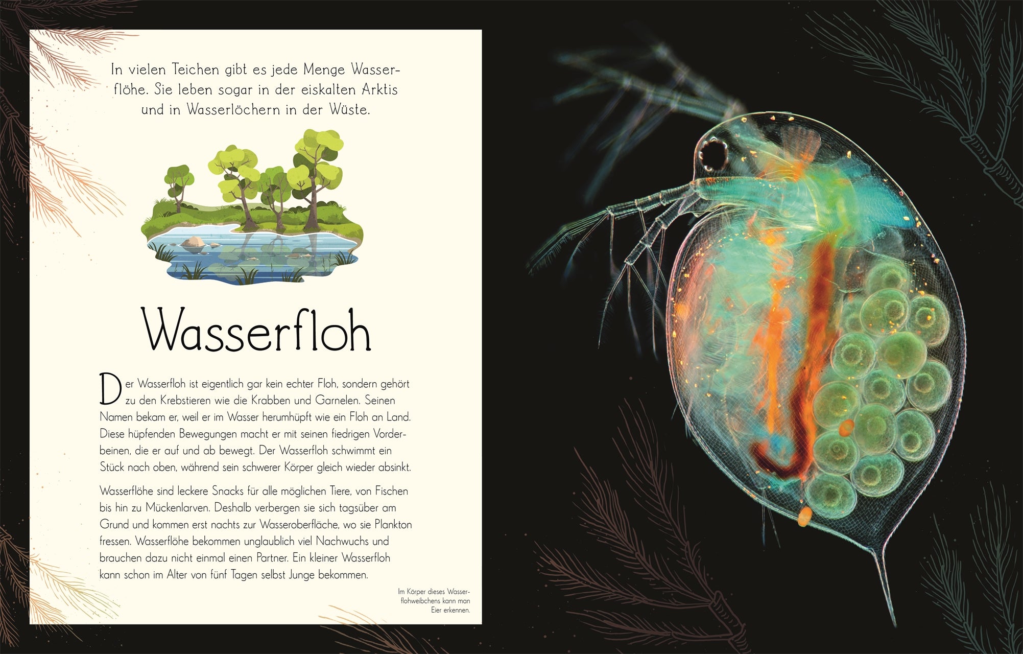 Wundervolle Welt Wasser
