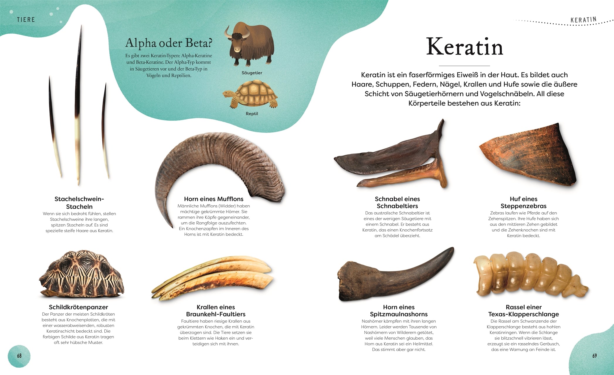 Große und kleine Schätze der Natur