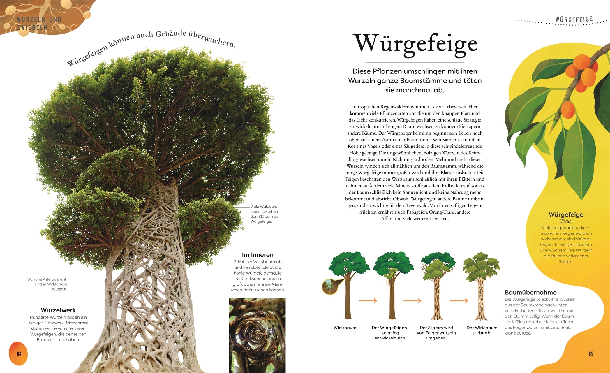 Große und kleine Schätze der Natur: Pflanzen