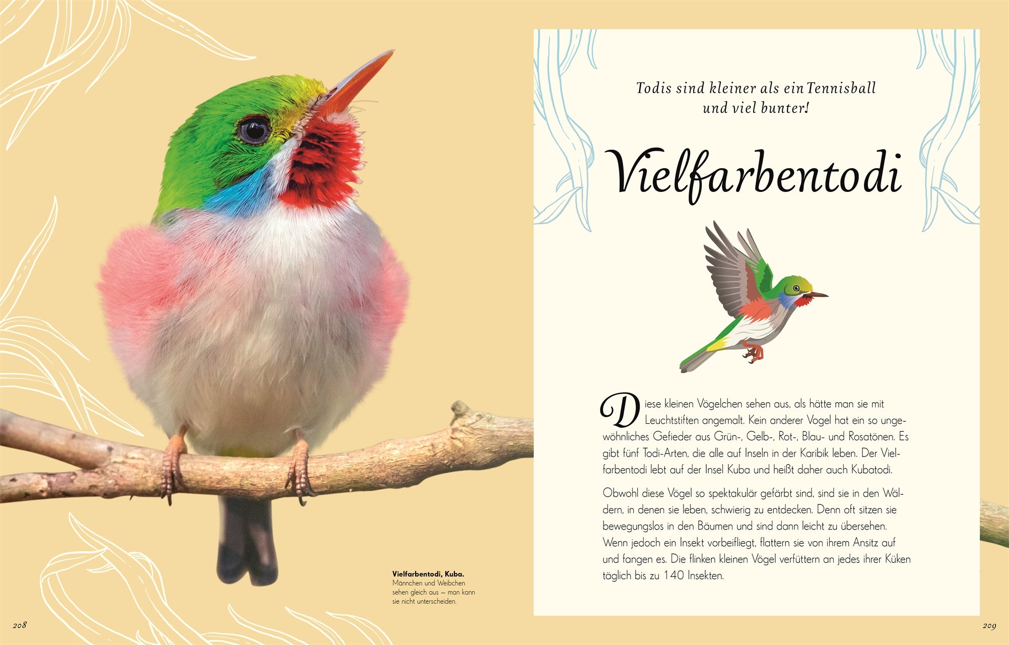 Wundervolle Welt der Vögel