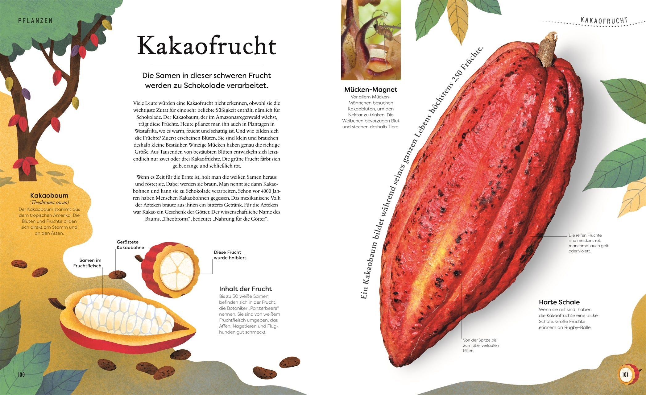 Große und kleine Schätze der Natur