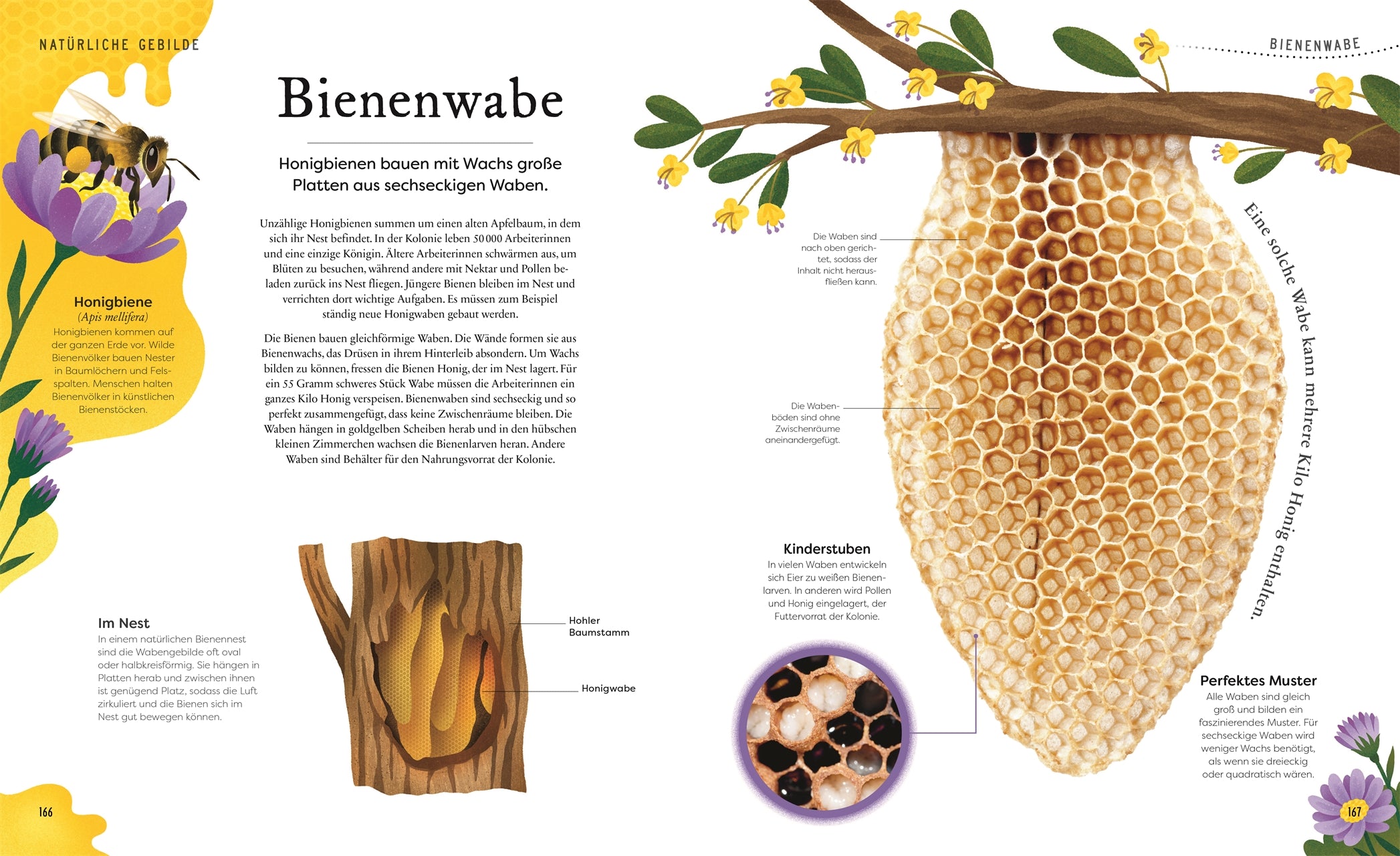 Große und kleine Schätze der Natur