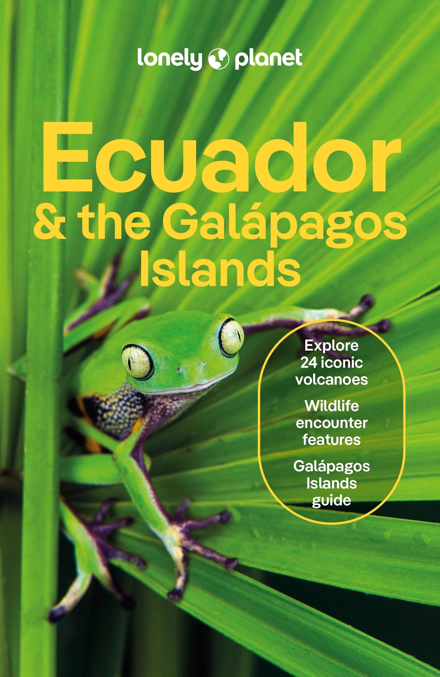 Ecuador and the Galapagos Islands - Lonely Planet