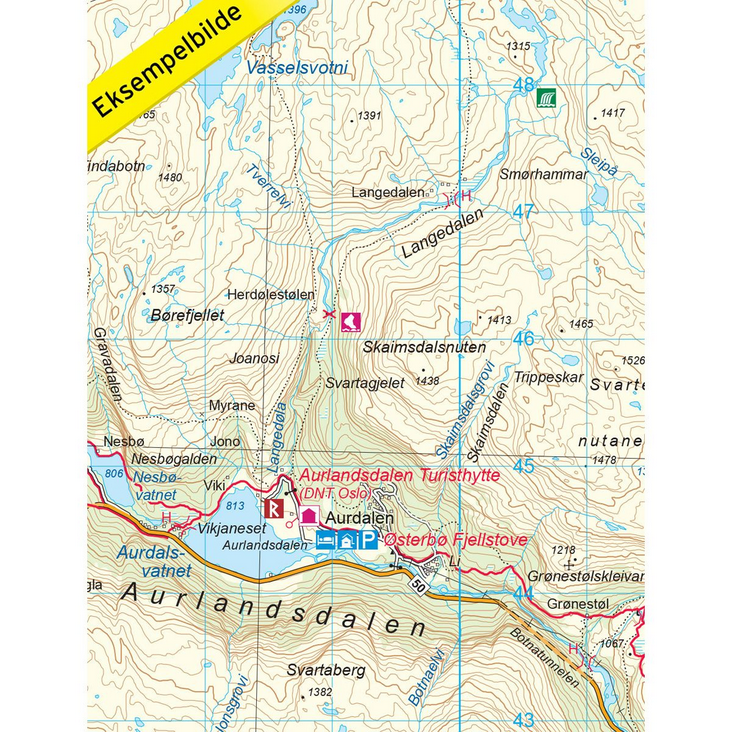 Aurlandsdalen 1:50.000 - Turkart