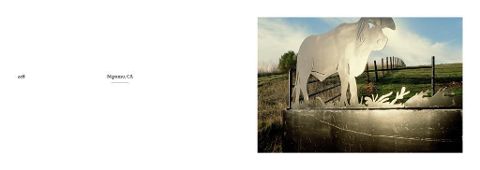 Still Lifes, California - Gingko Press