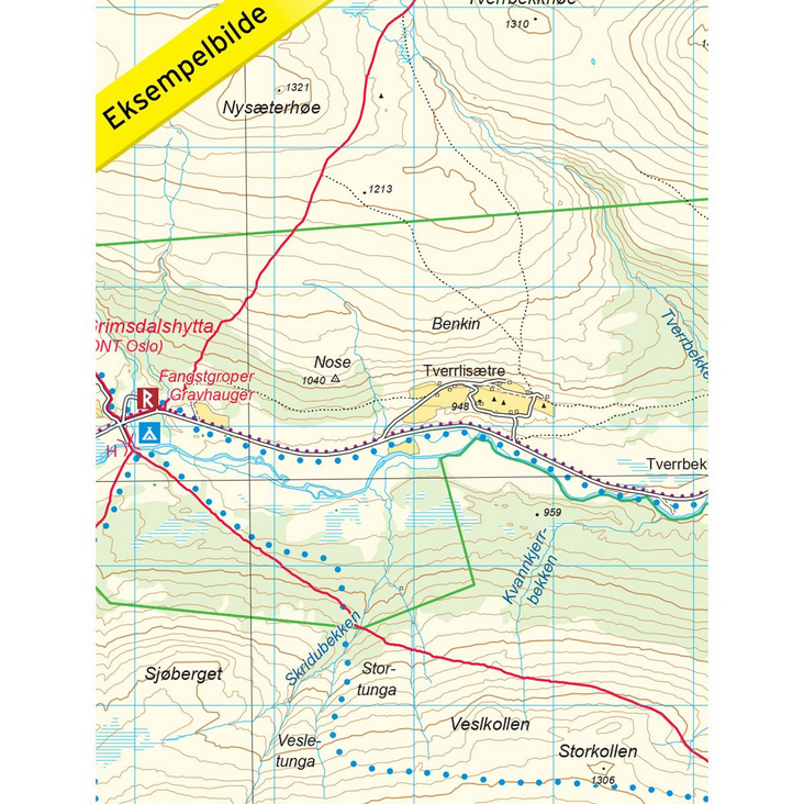 Rondane Nord 1:50.000 - Turkart