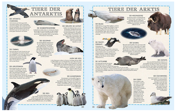 Der Weltatlas  mit herausnehmbarer Welt- und Europakarte zum Wenden - für Kinder