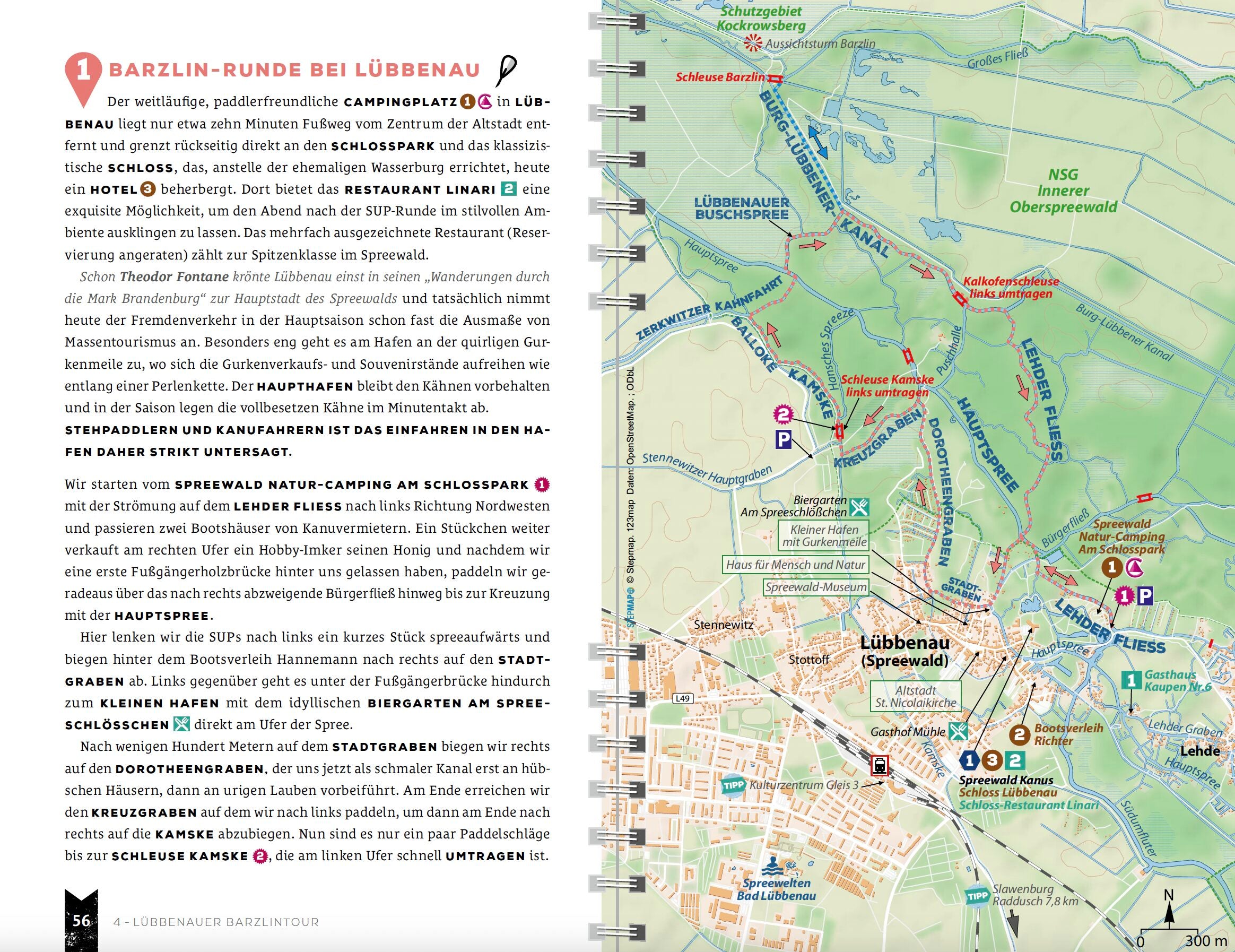 SUP-Guide Spreewald & Lausitzer Seen