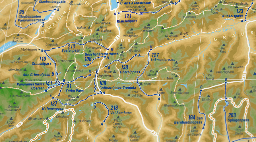 222 Pässe der Alpen Wandkarte (XL)