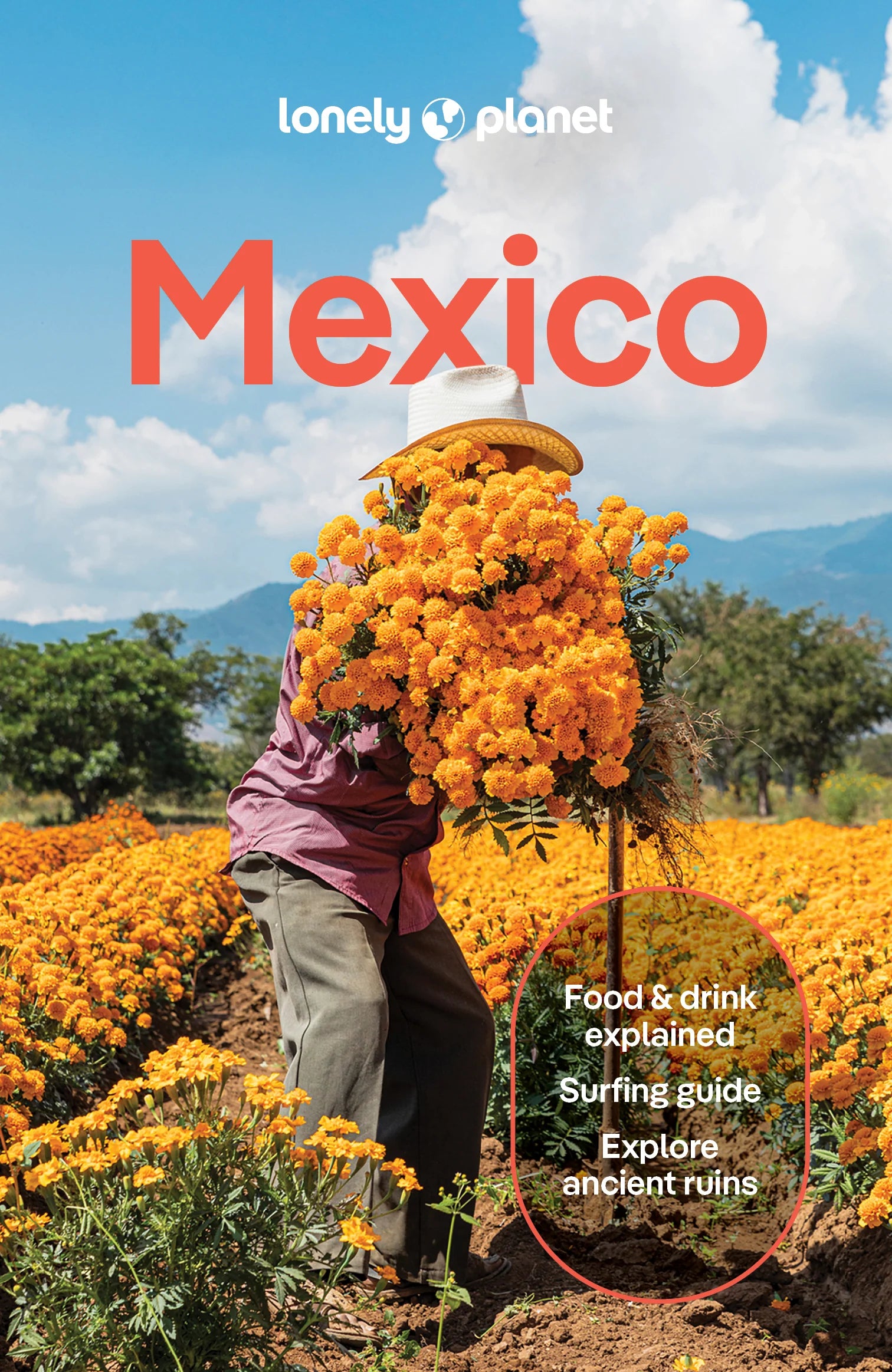 Mexico - Lonely Planet