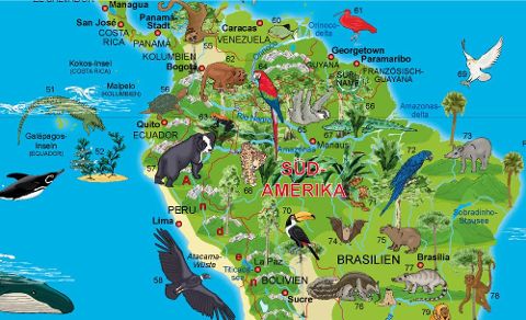 W104 Illustrierte Weltkarte Tiere (Kinderweltkarte)