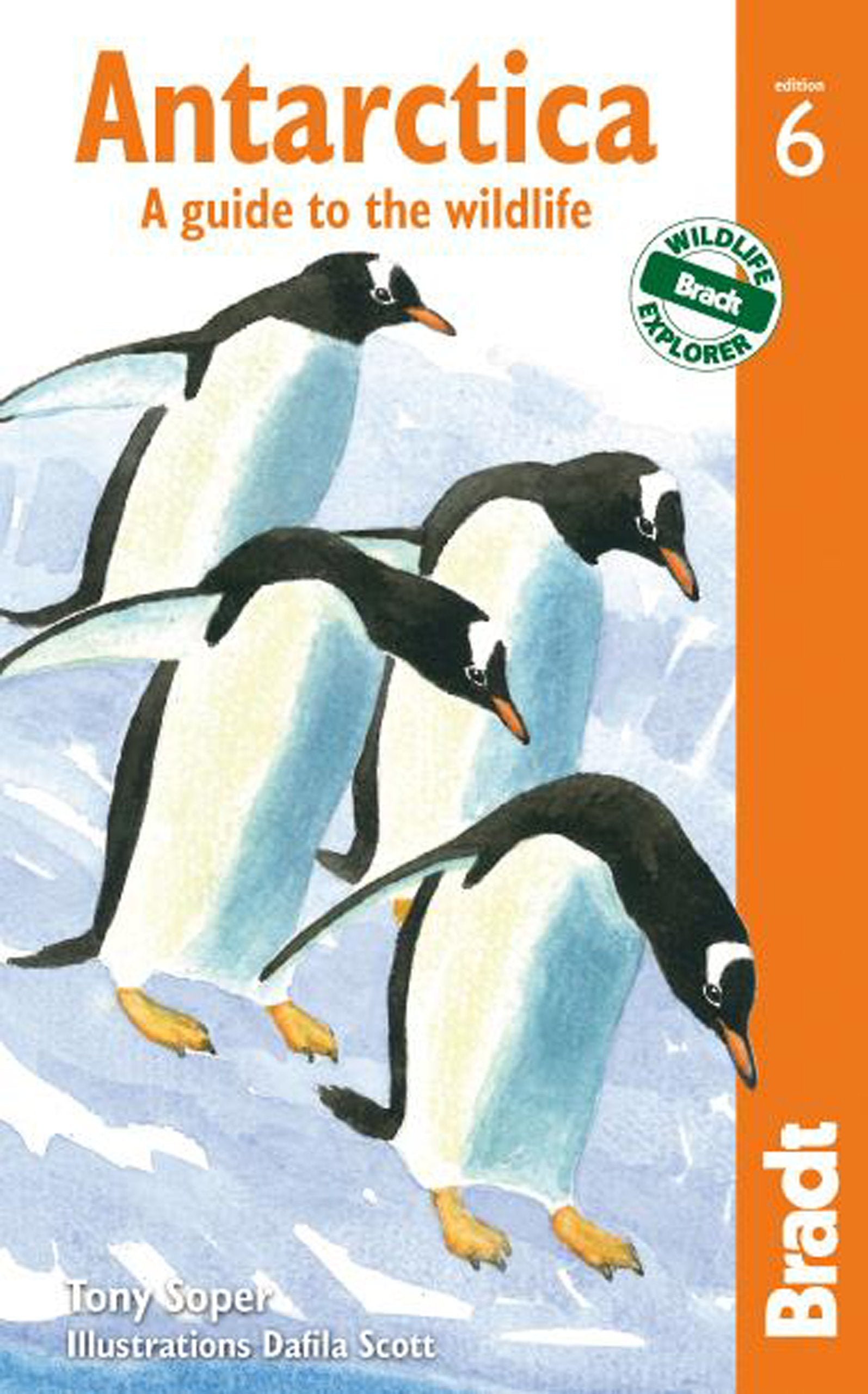 Antarctica: A Guide to the Wildlife - Bradt Travel Guide