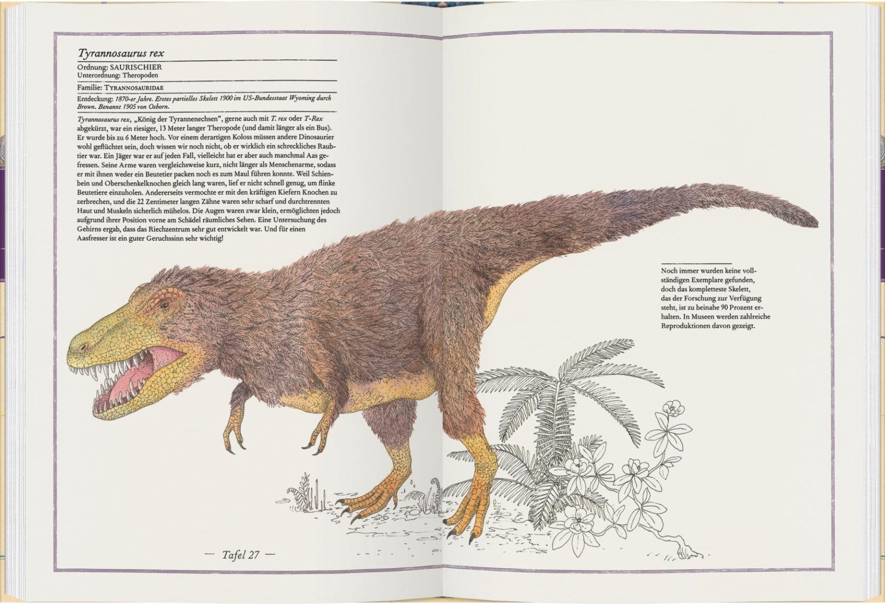 Triceratops, T-Rex, Supersaurus - Die Welt der Dinosaurier
