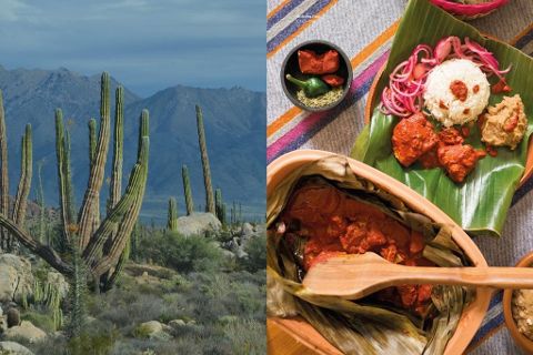 Taco Tales. Recipes and Stories from Mexico