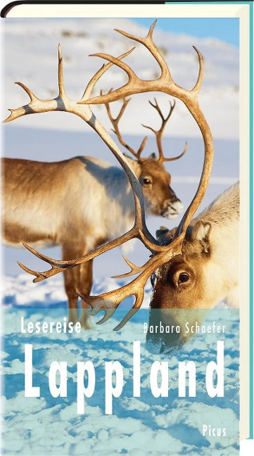 Lesereise Lappland: Nordlicht, Joik und Rentierschlitten